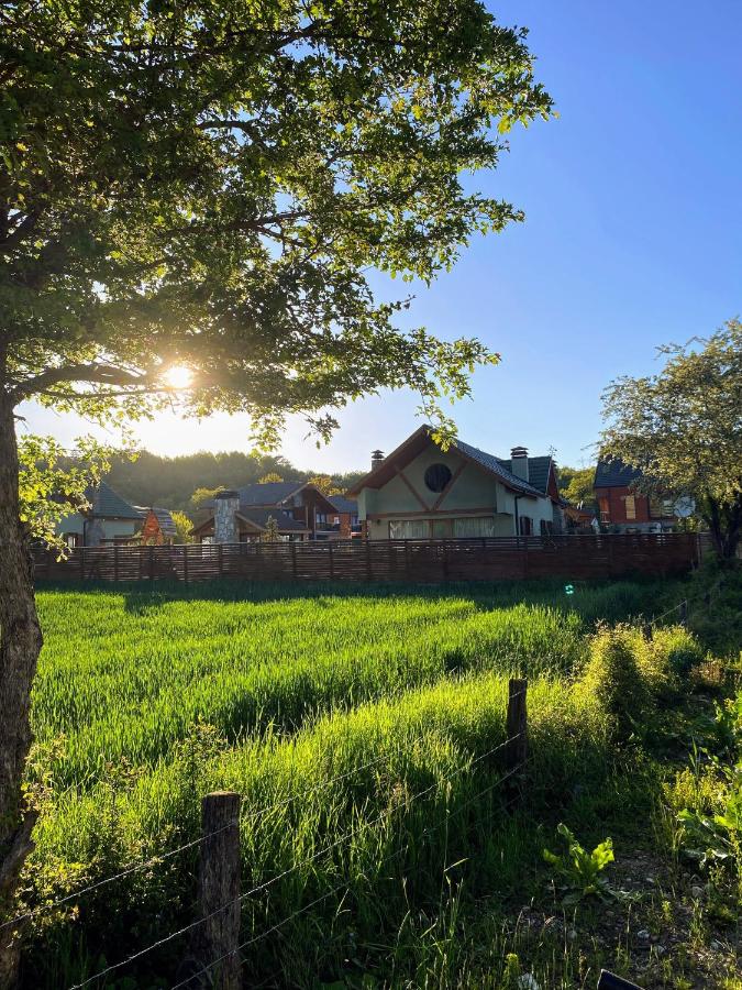 Abant Cozy Homes - B&B