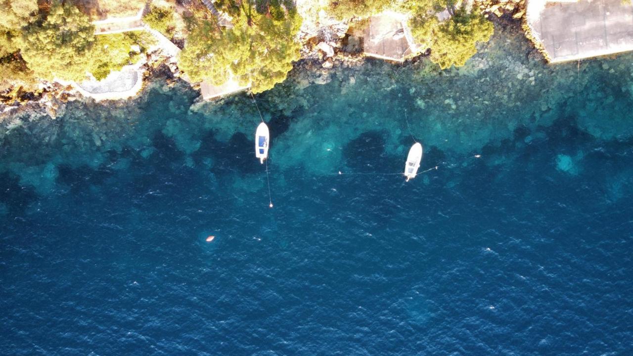 Terrace studios with panoramic seaview - B&B Ubli