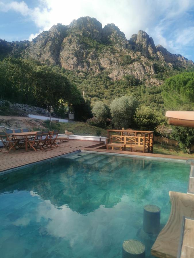 Appartement Jardin et Piscine Les anges du maquis location Corse-du-Sud - Chambres d'hôtes Conca