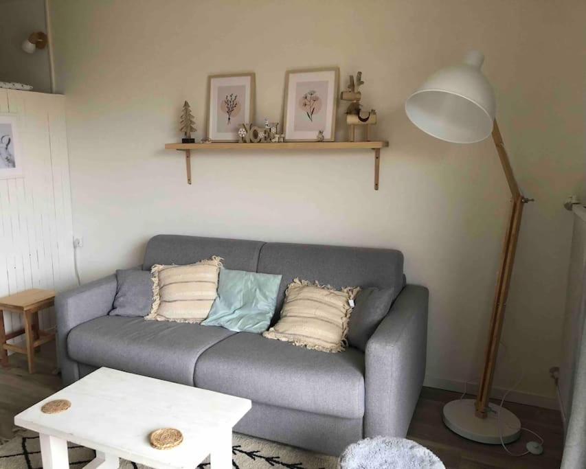 Studio SuperDévoluy 4 pers pied des pistes Résidence Le Bois d'aurouze 10ème étage - B&B Le Dévoluy