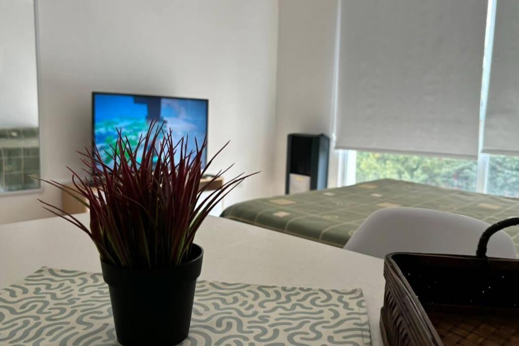 Tupungato Dpto 216 - Bed and Breakfast Tupungato