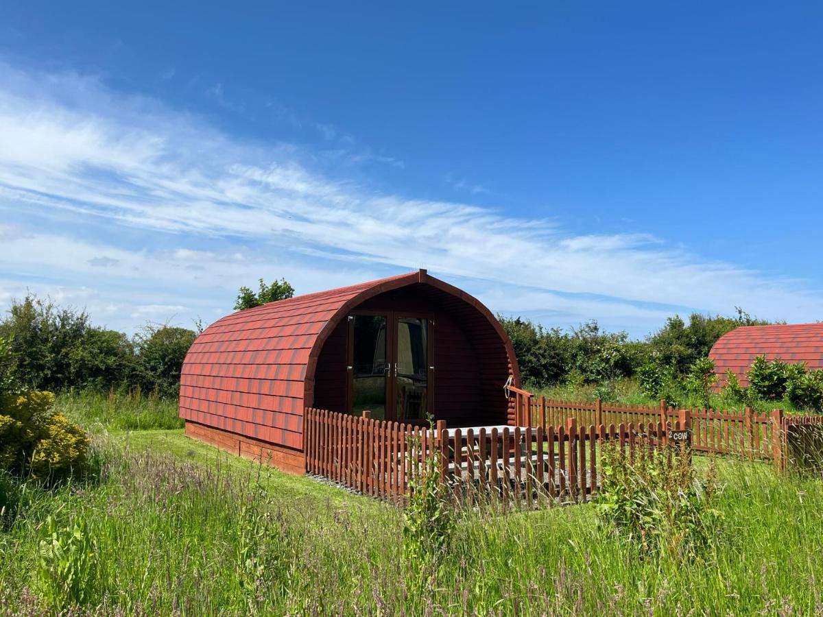 Manor Farm Stay - B&B