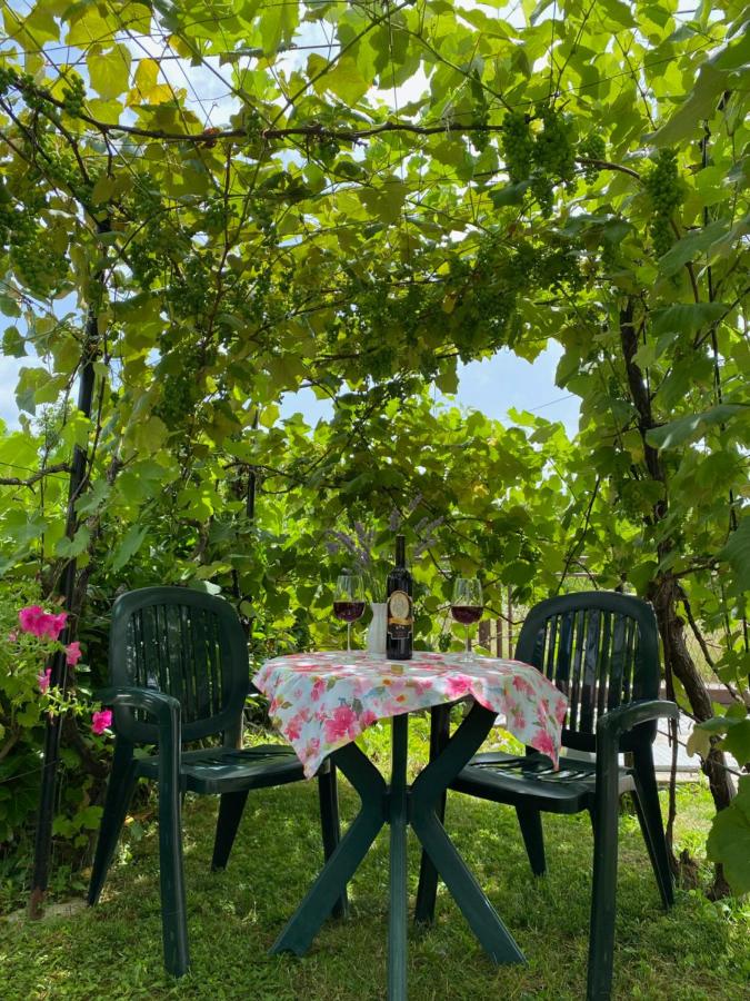 Studio apartment Adrijana - B&B