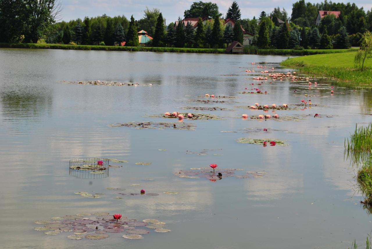 Flamingo - B&B Poręba Żegoty