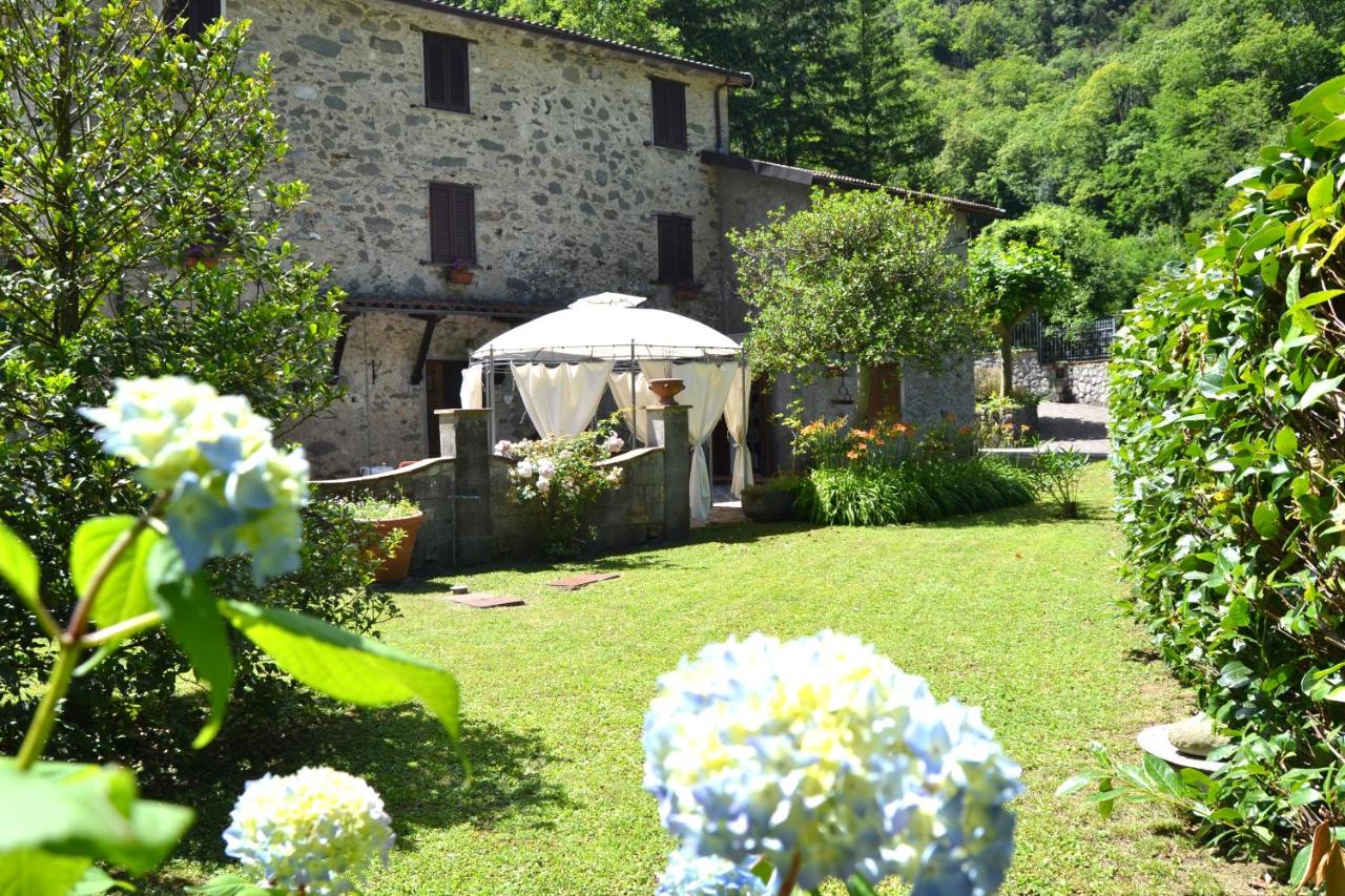 Casa Vacanze IL BOSCACCIO "Casa Massimo" - Bed and Breakfast