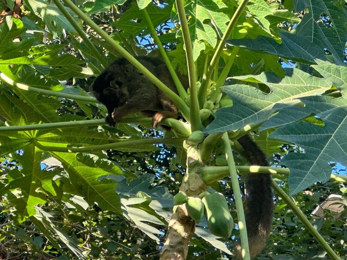 Massakini Bé- T2 sans coupure d'eau à kaweni - B&B