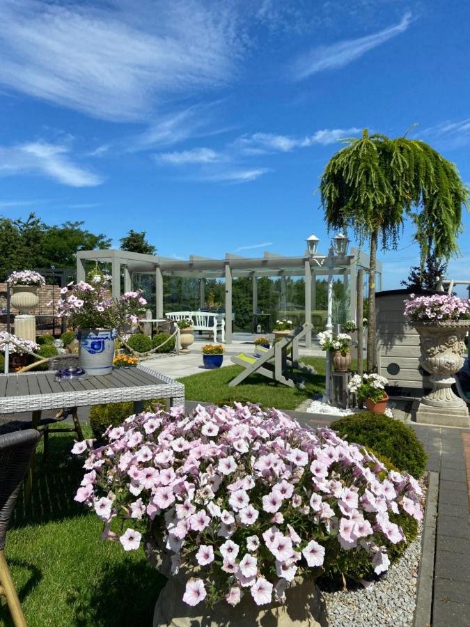 Domki Nad Rozlewiskiem Basen, Małpi Gaj w Świetlicy - Wszystko dla Dzieci - B&B