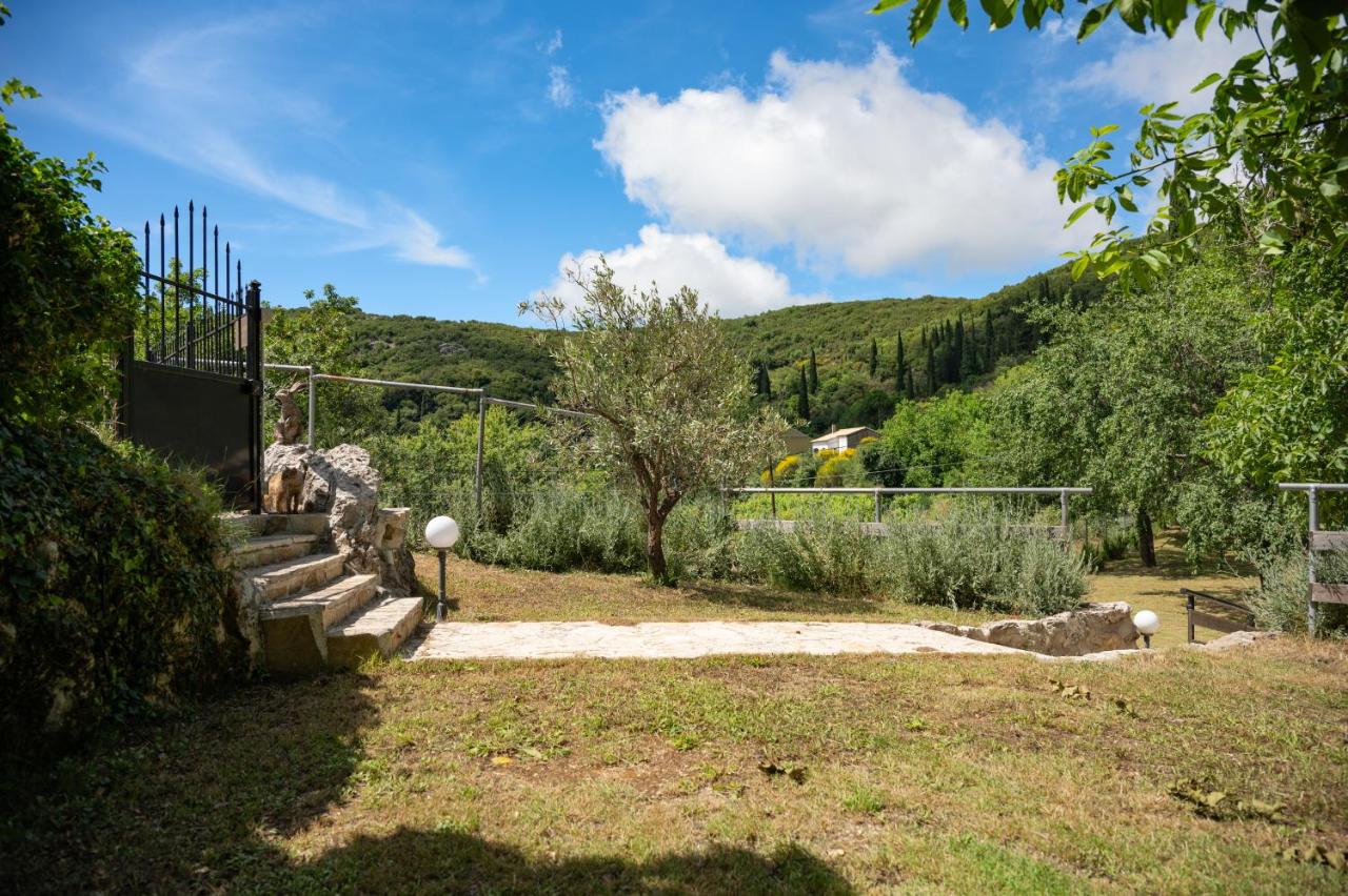 Galini Vines - Authentic Corfu village life WiFi AC - Chambres d'hôtes Petáleia