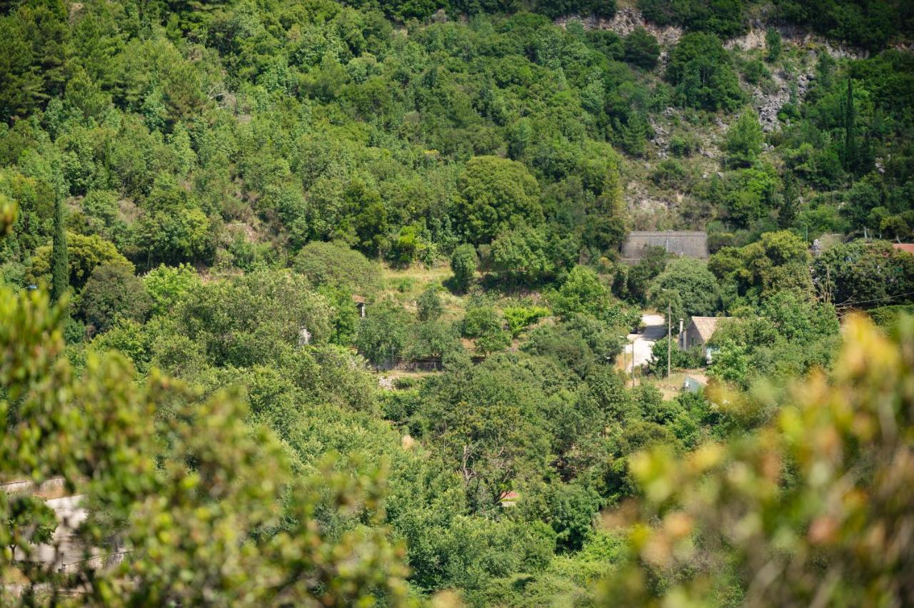 Galini Vines - Authentic Corfu village life WiFi AC - B&B
