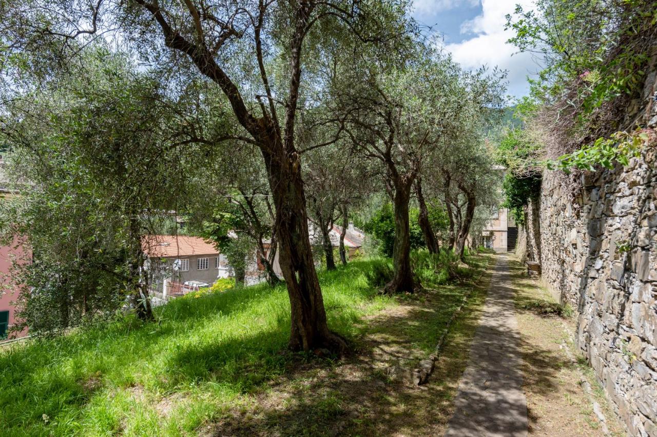 House In Mulinetti - Happy Rentals - B&B
