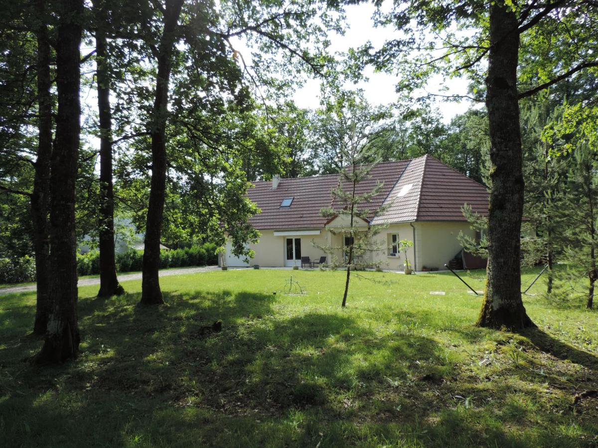 Maison neuve avec piscine dans domaine arboré - Domaine de la Brionnerie - Ferienwohnung