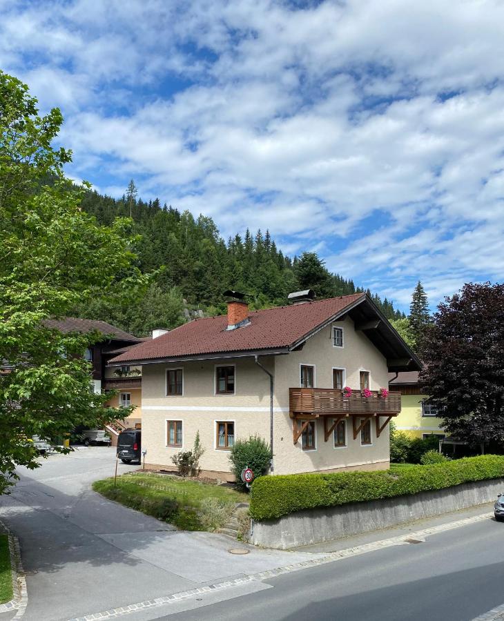 Ferienwohnung Elisabeth - B&B Eben im Pongau