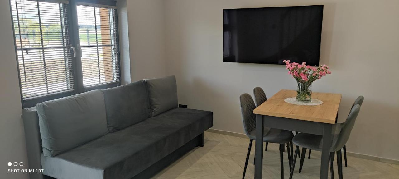 One-Bedroom Apartment with Terrace