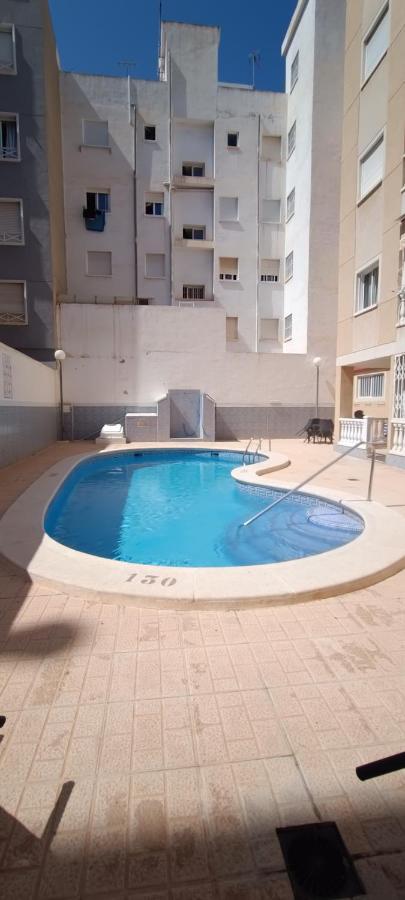 City apartment-beach-pool-Torrevieja-PMT14 - B&B Torrevieja