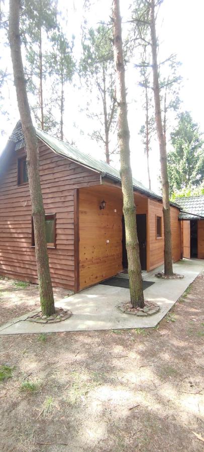 Ranczo Pisklaki - B&B