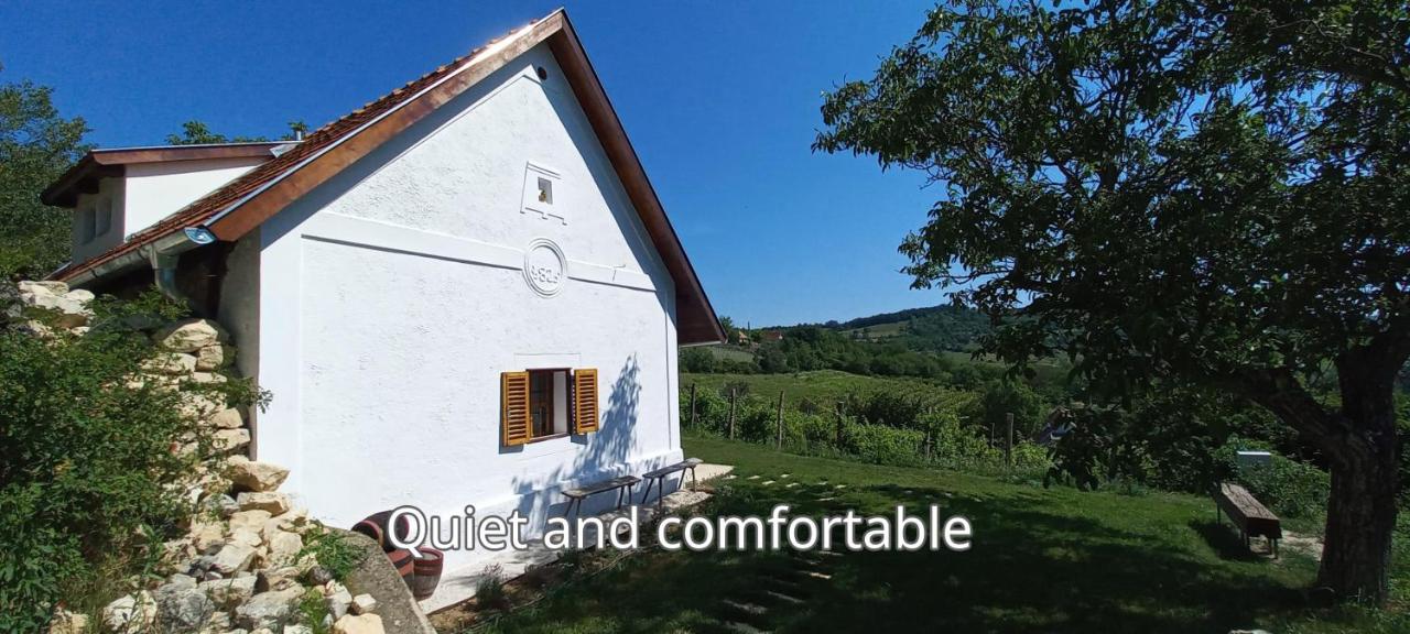 Press House at the Walnut Tree - MyPressHouse - B&B Pécsely