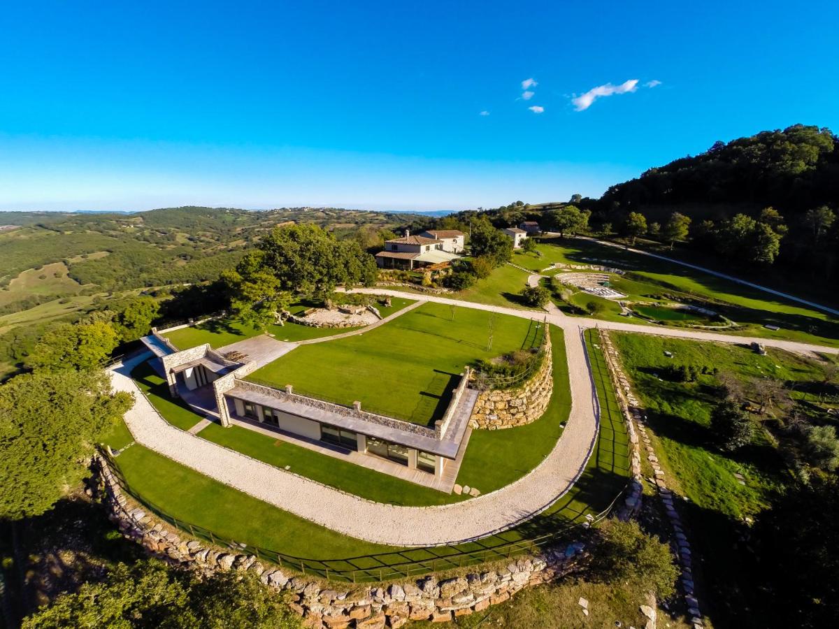 Sasseta Alta - B&B Scansano