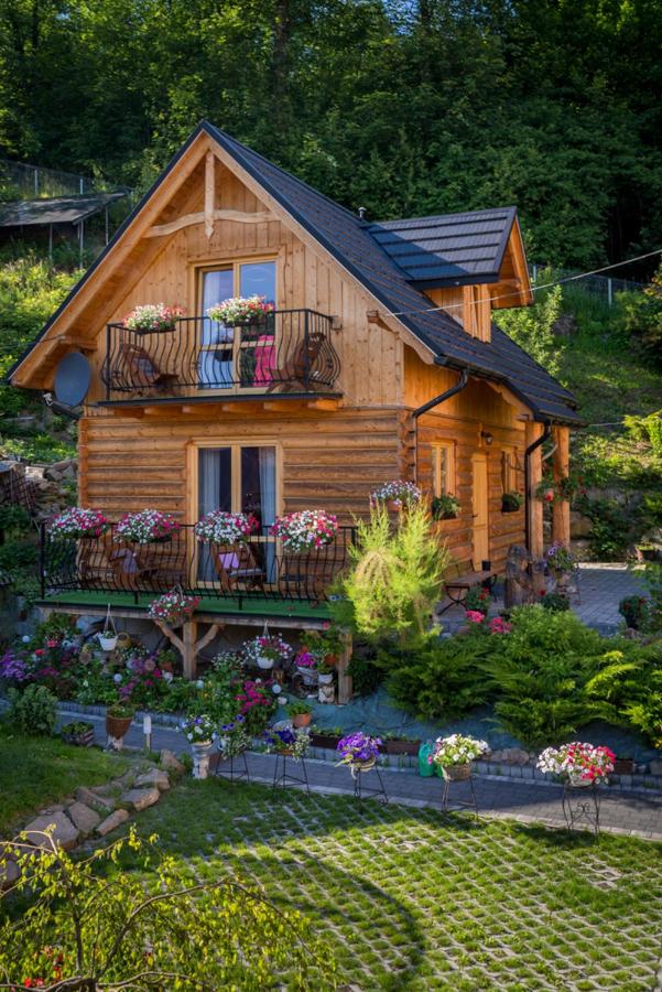 Markowe Domki - B&B Szczawnica