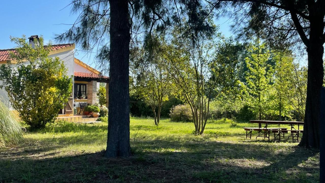 Quinta dos Trevos - Artes e Ofícios - B&B