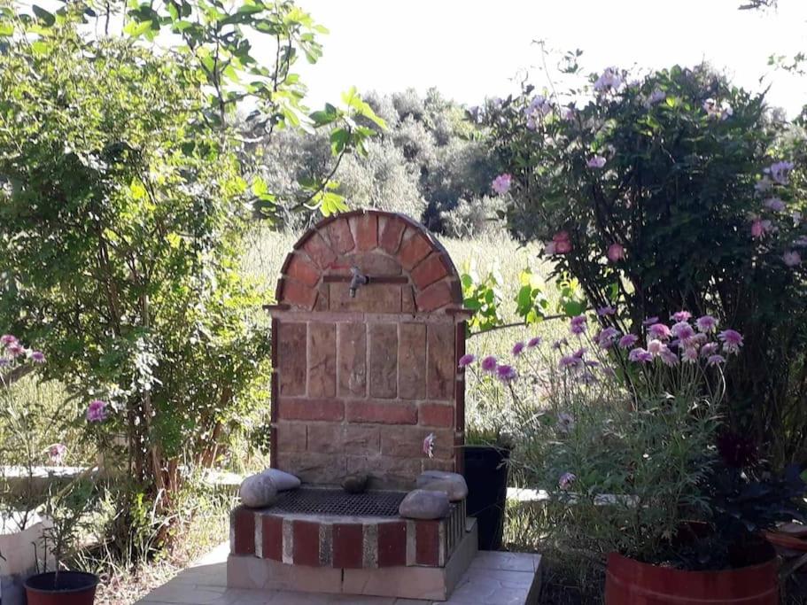 Harmony beach house - B&B Róda