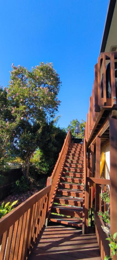 Birdsong hideaway two-bedroom suite in Browns Bay - B&B