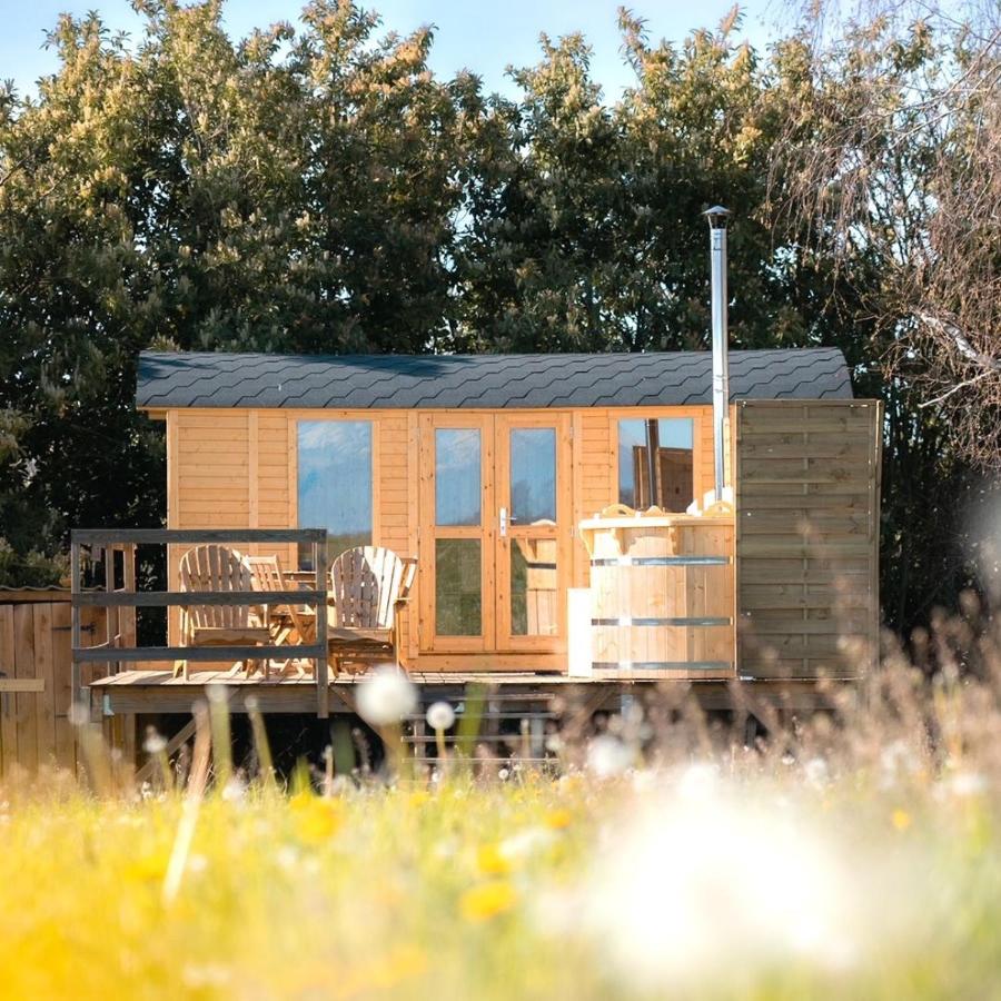 L'enclave Insolite - Cabanes avec Piscine et Bains Nordiques - B&B