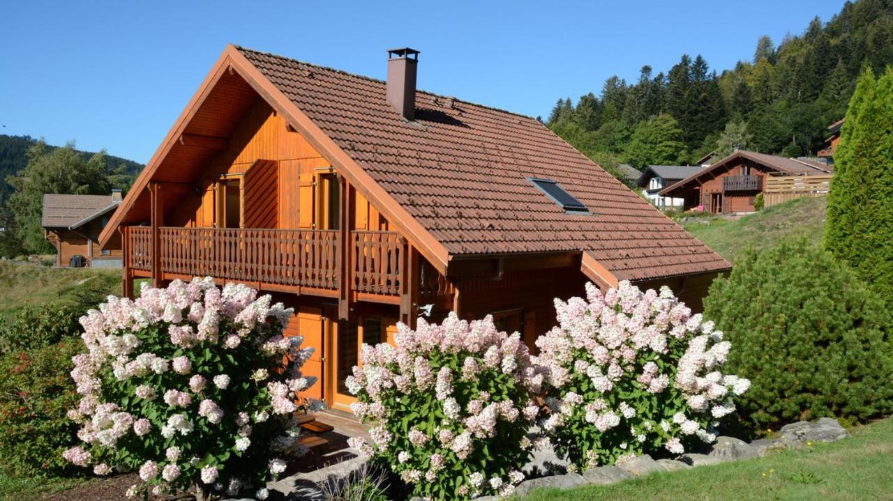 Le Murmure du Ruisseau - B&B
