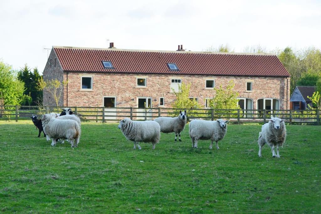 Luxury Barn with sauna near York welcoming families, friends, groups - Chambres d’hôtes York