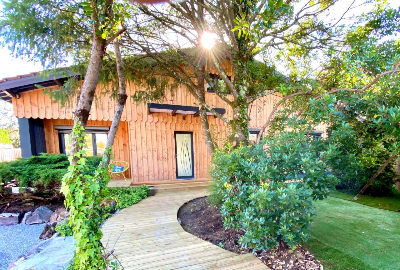 Villa Pins&Spa Piscine Jacuzzi Petanque Ping-pong - B&B