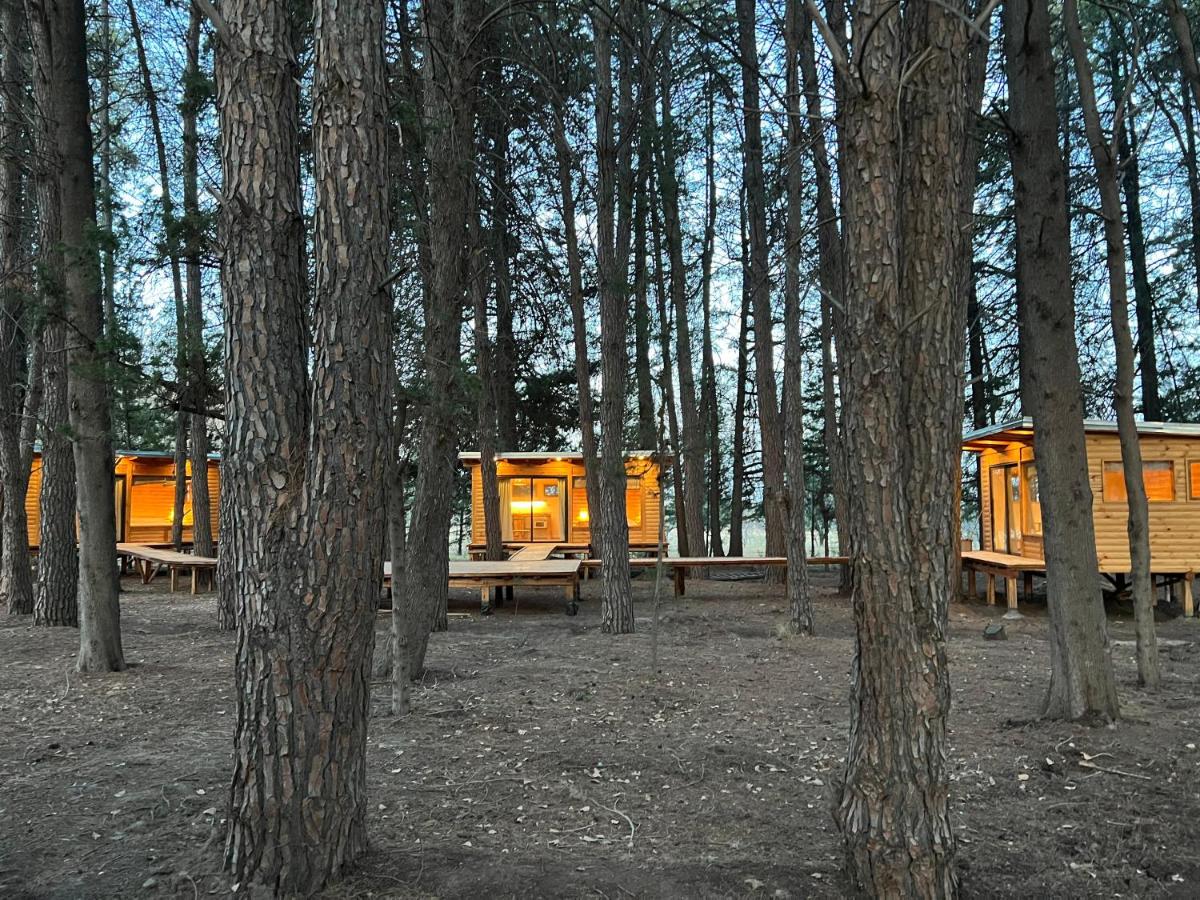 La Venecia Cabañas - Chambres d’hôtes San Rafael