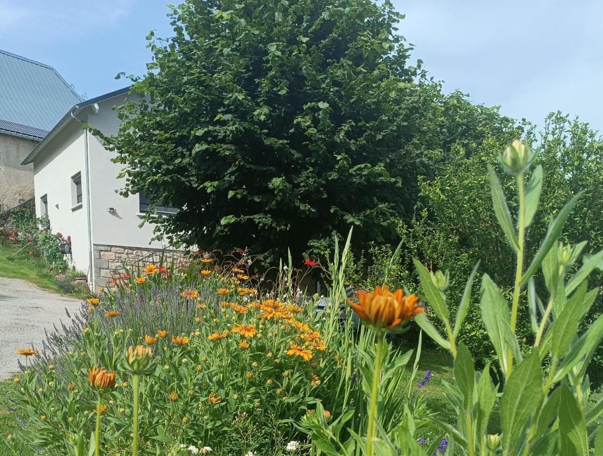 Le domaine de Moïse - Ferienwohnung