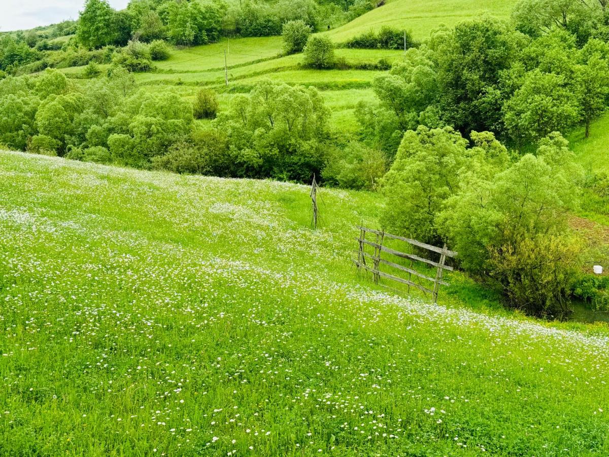 Evenimente Edelweiss - B&B Bogdan Vodă