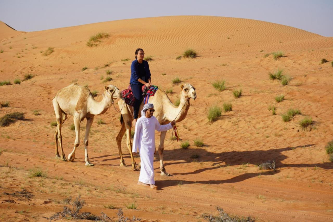 Authentic Desert Camp - Al Wasil - B&B