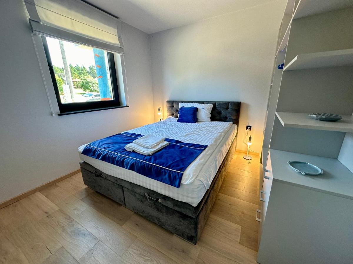 Deluxe One-Bedroom Apartment