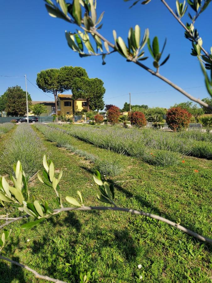 CaSAle - B&B