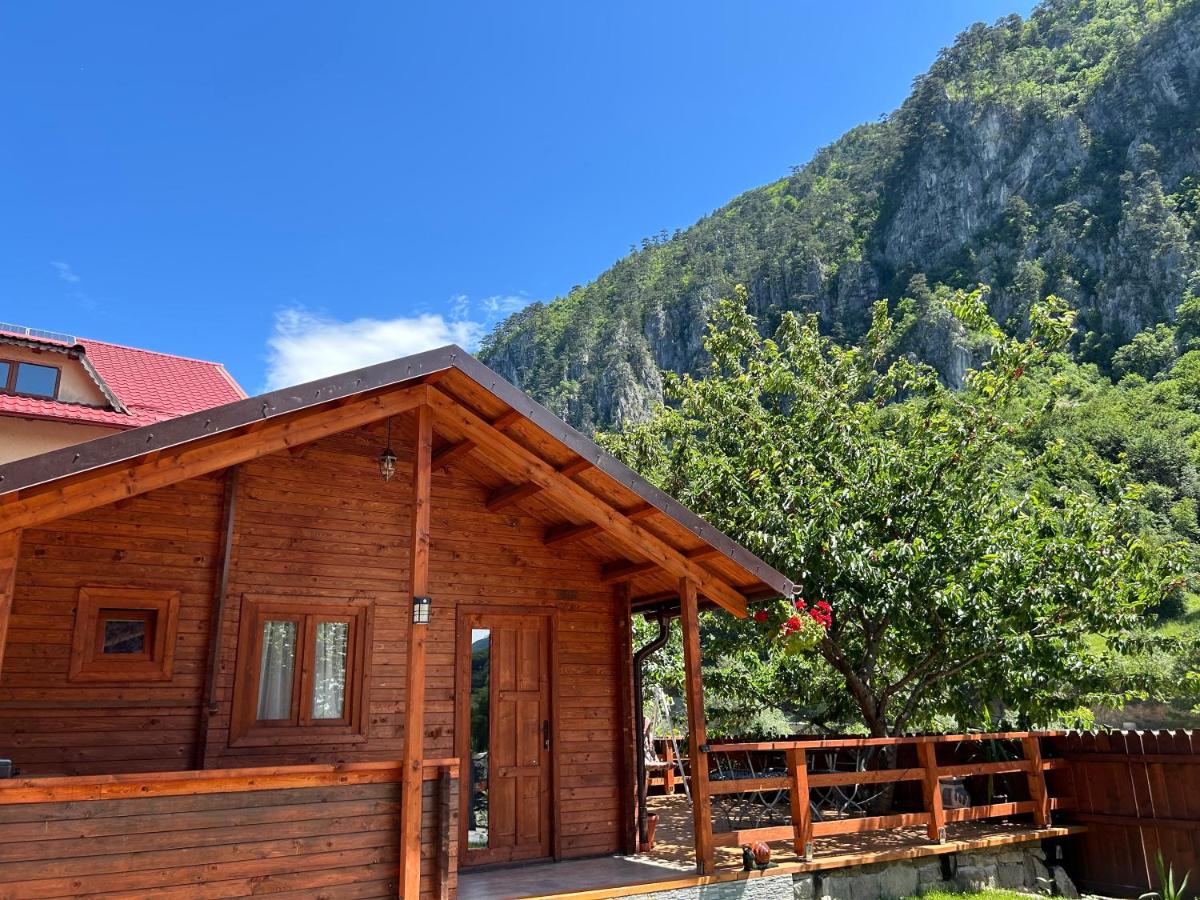 Elysium House - B&B Băile Herculane
