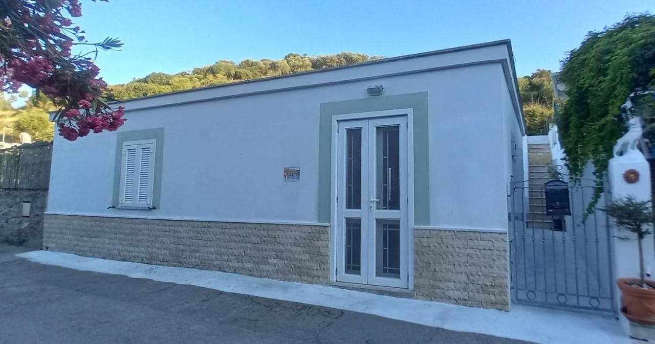 Oleander House - B&B Ponza