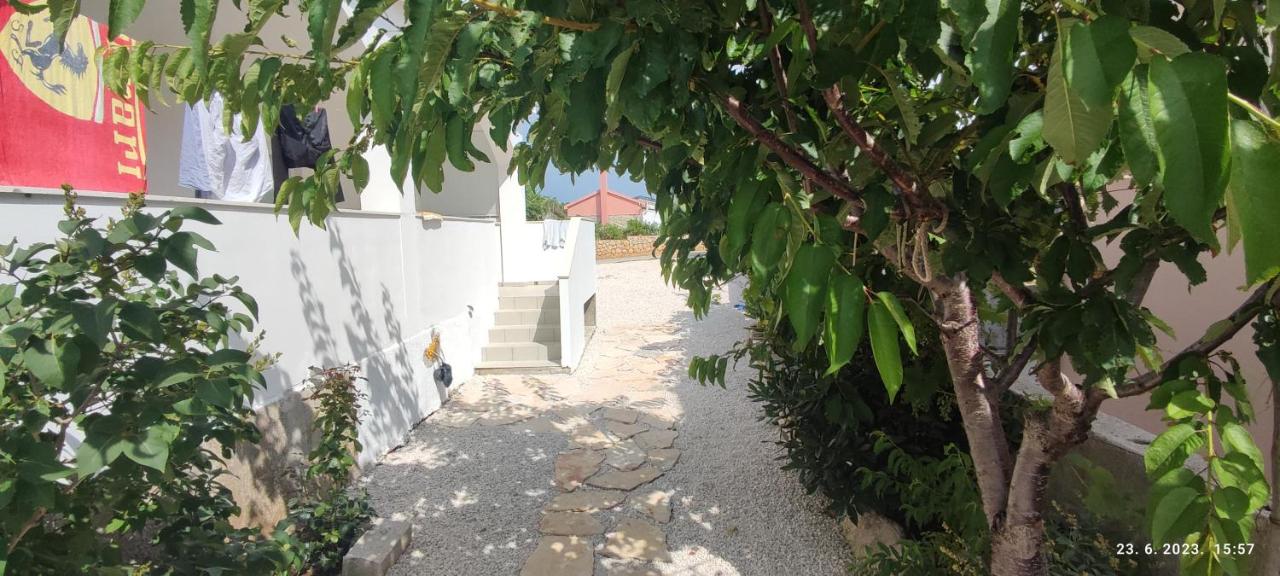 Posolica - B&B Ražanac