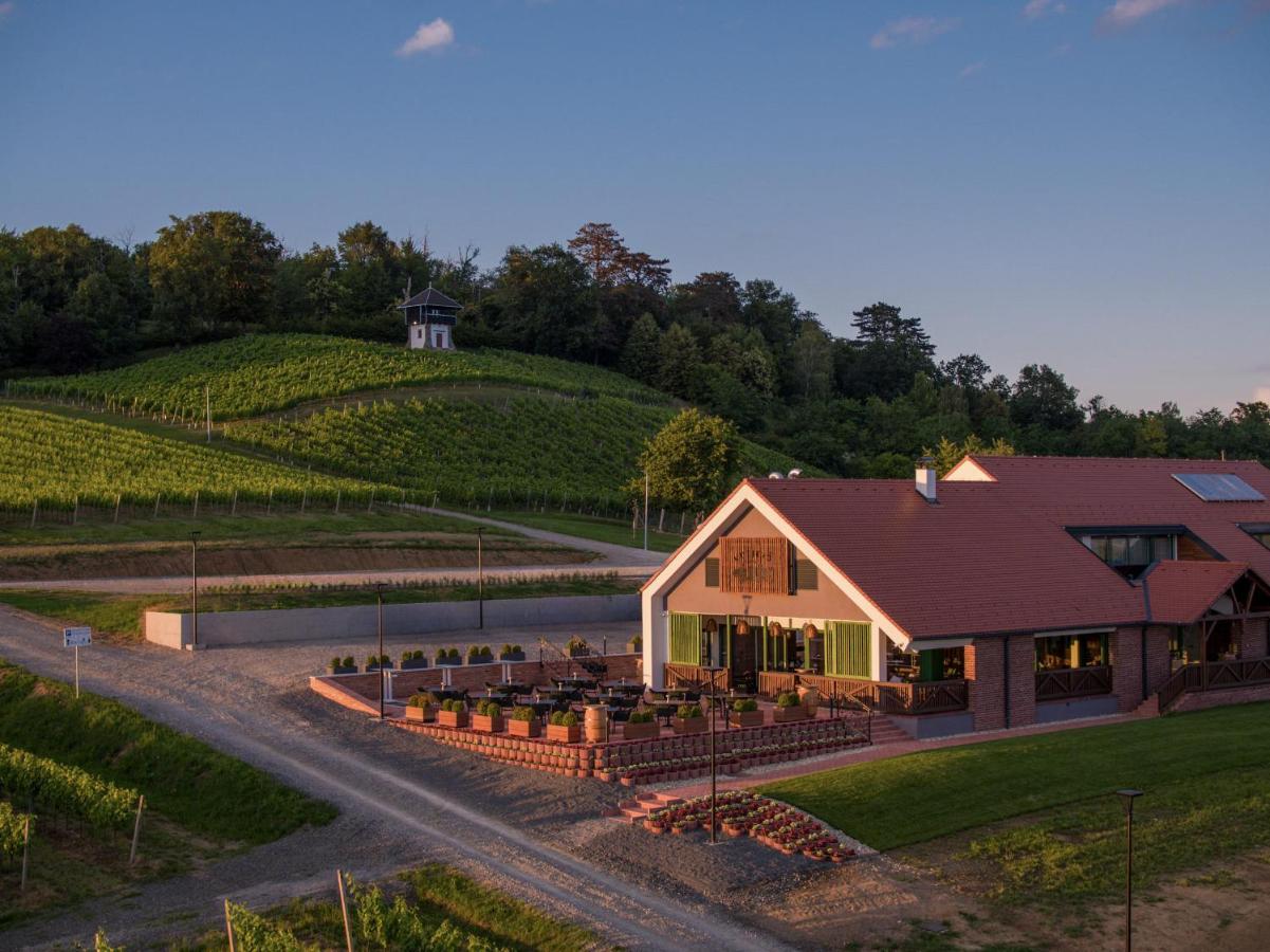 Vila Vinkomir - Bed and Breakfast