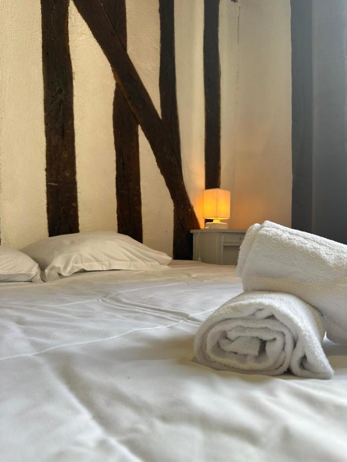 Gîtes Place Plumereau de Tours - Ferienwohnung Tours