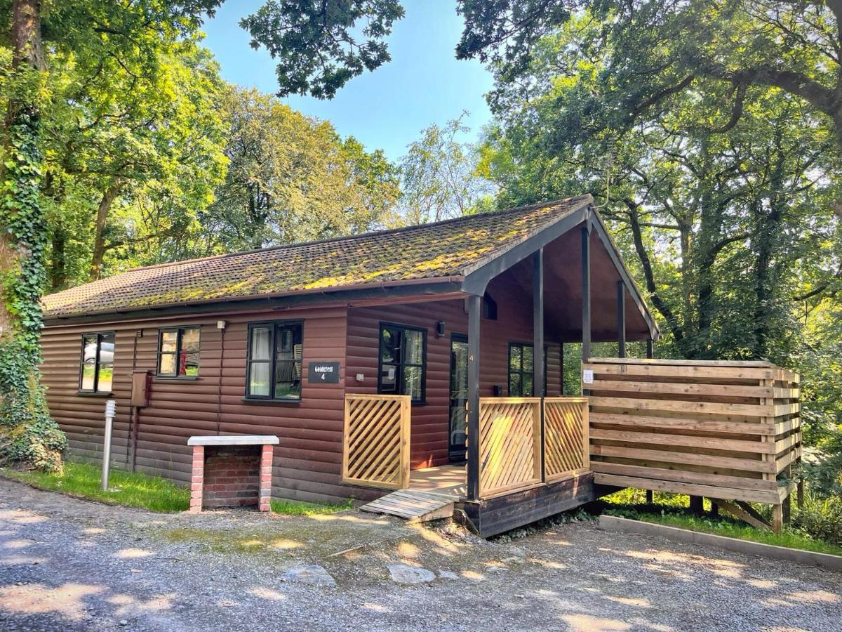 Goldcrest 4-Hot Tub-Woodland Lodges-Carmarthenshire-Tenby - Ferienwohnung