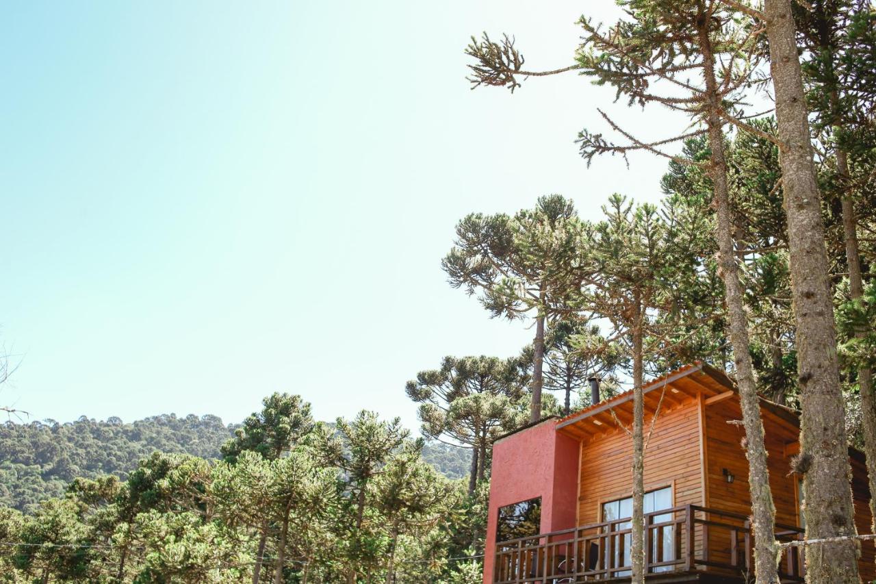 Chalet with Valley View