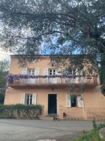 BandB - les rosiers - Corse - chambre Eglantine - Chambres d’hôtes