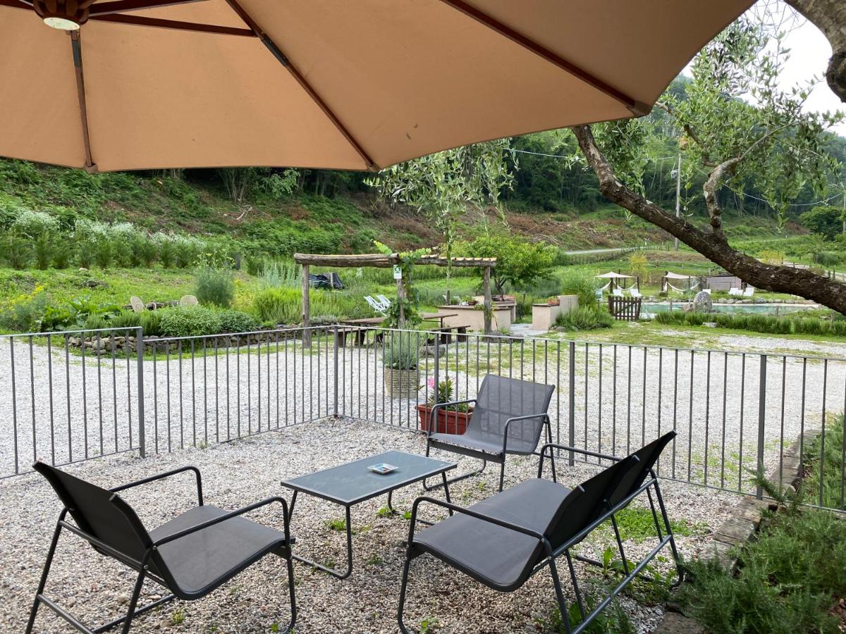 Studio with Garden View