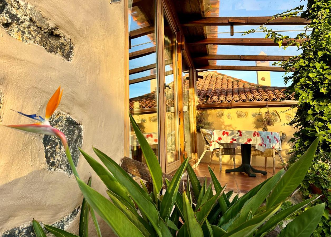 Finca Tenerife - Cozy Studio mit Traumblick & tropischem Garten - B&B