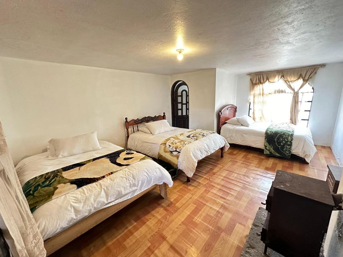 Mixed Dormitory Room