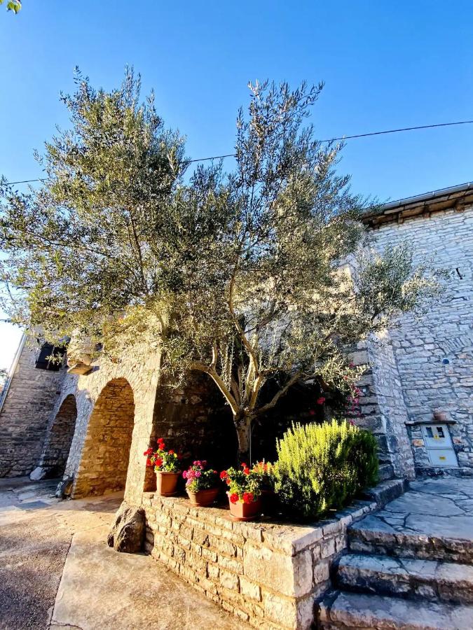 Authentic stone house Miro - B&B Rajki