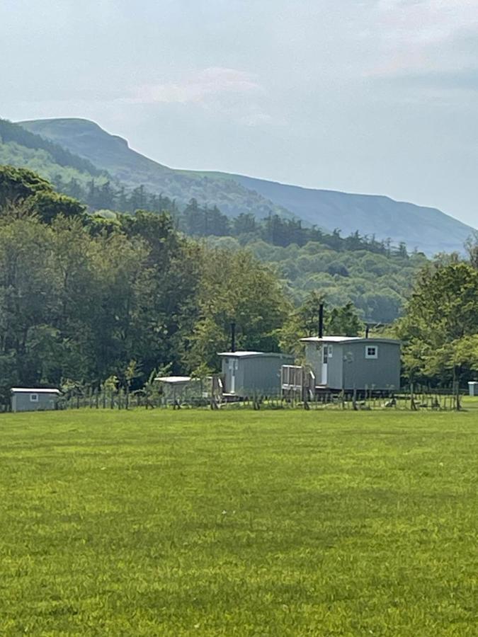 Pet Friendly Rosemary Shepherds Hut Clay Bank Huts