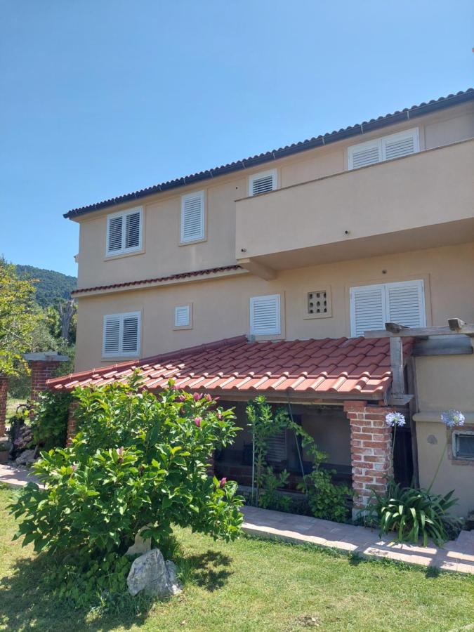 Novouređeni apartman Marko - B&B