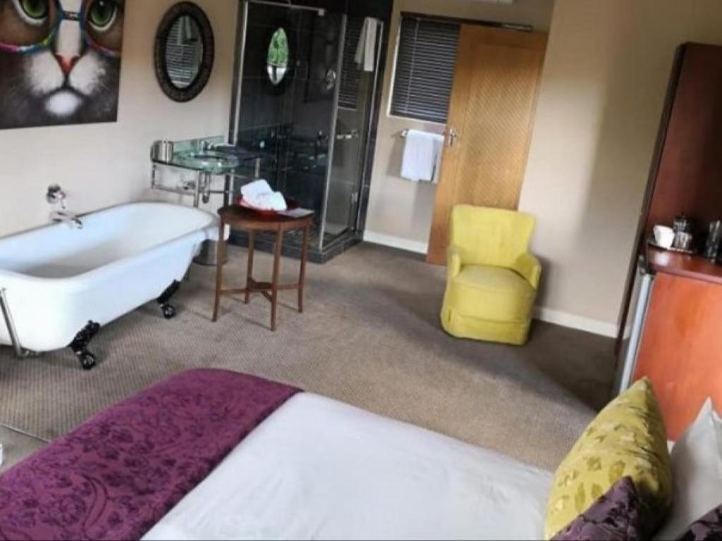 Superior Queen Room